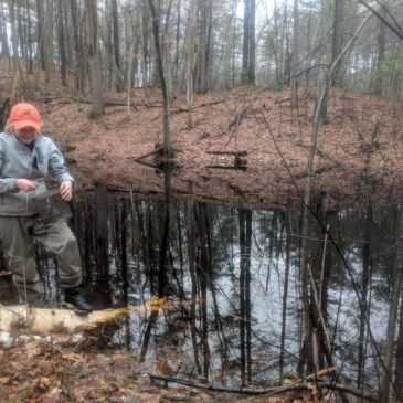 Vernal Pools – Ephemeral Hot Spots of Biodiversity