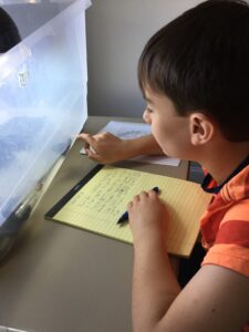 A fourth grade student with a pad of notes in front of him points at a young turtle in a plastic tub aquarium on a table in front of him.