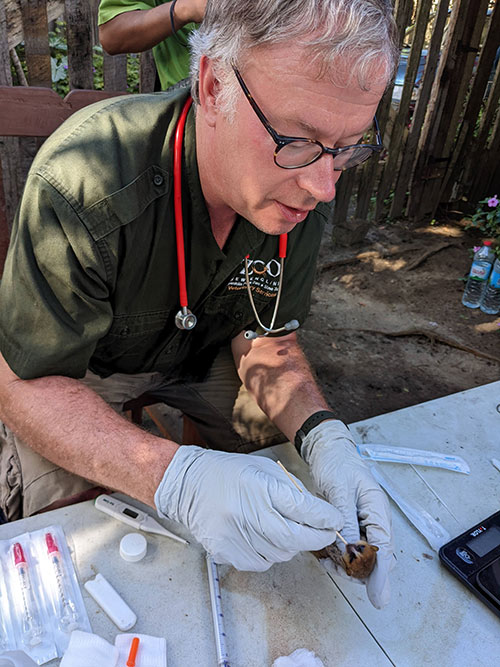 mouse lemur exam