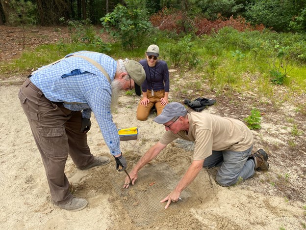 Two men, one to the left leaning over in a blue check shirt and a long white beard, the other to the right on all fours with a brown t-shirt, work together to remove landscape staples from a metal mesh screen over a turtle nest. A woman in sunglasses, a ball cap, and a dark blue shirt kneels just behind the nest with tools.