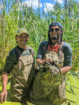 Two people in chest waders stand side by side in a thigh-deep pool of greenish swamp water and smile at the camera. One of them holds a large common snapping turtle with its belly towards the camera.