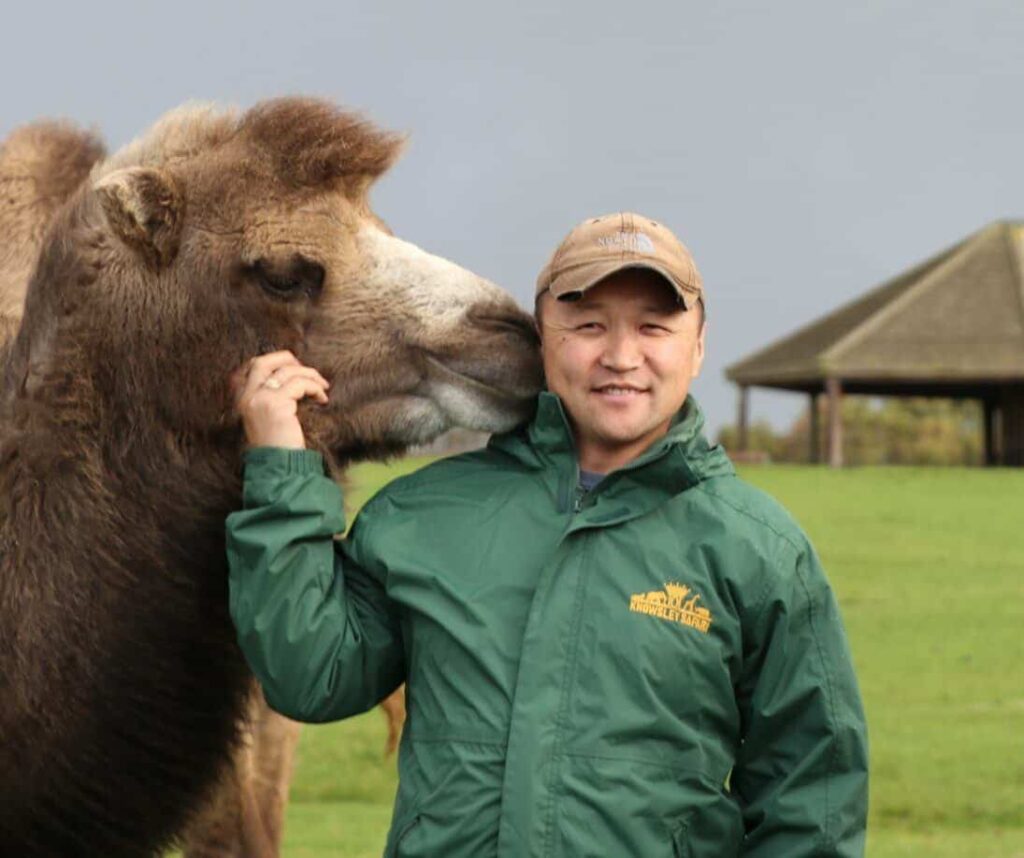 A Mongolian man in a green waterproof jacket and brown ball cap smiles at the camera as a Bactrian camel nuzzles the side of his head. The man's right hand is raised to the camel's cheek.