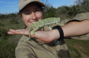 A person wearing khakis and a brown ball cap smiles at the camera, squinting slightly against the sun. A chameleon walks along their hand and arm, held out in front of them parallel to the ground.