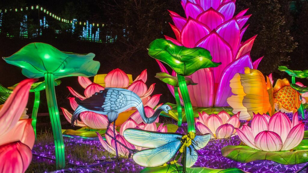 A vibrant wetland made of Tianyu's glowing lanterns with green lily pads, purple lotus flowers, a dazzling dragonfly, and a white and black crane photographed at night at Franklin Park Zoo 