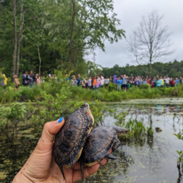 A Field Season of Fun: Reflections of a Conservation Educator