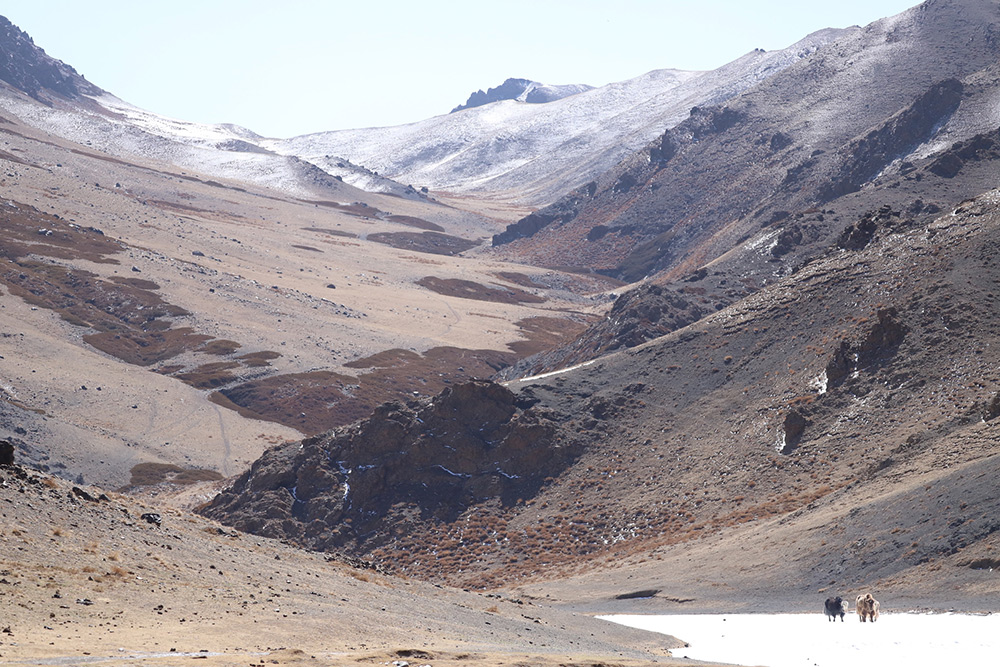 Lamergeier Valley