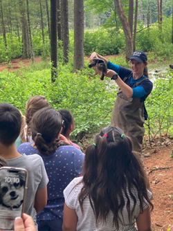 A white woman in chest waders and a blue Zoo New England ball cap carefully holds a snapping turtle up for a class of children to see.