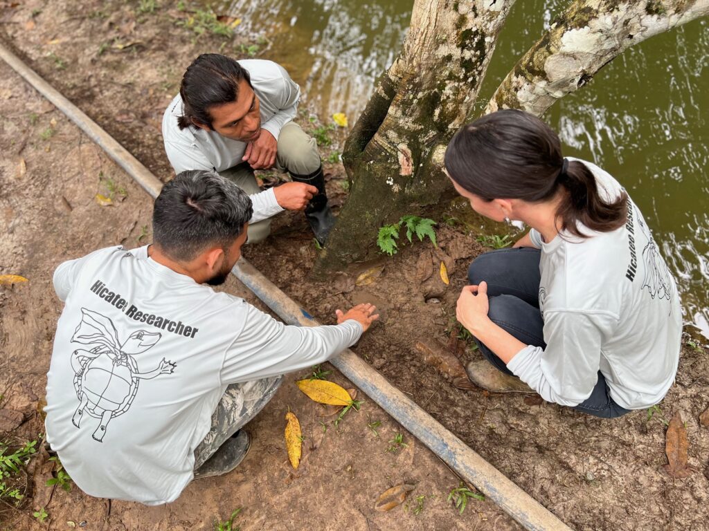 Three people squat on a clay riverbank near the base of a tree, examining the soil and feeling its texture.