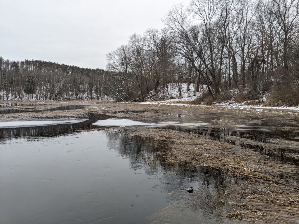 A photo of a wide brook half-covered with ice reflecting a background of leafless trees and gray sky.