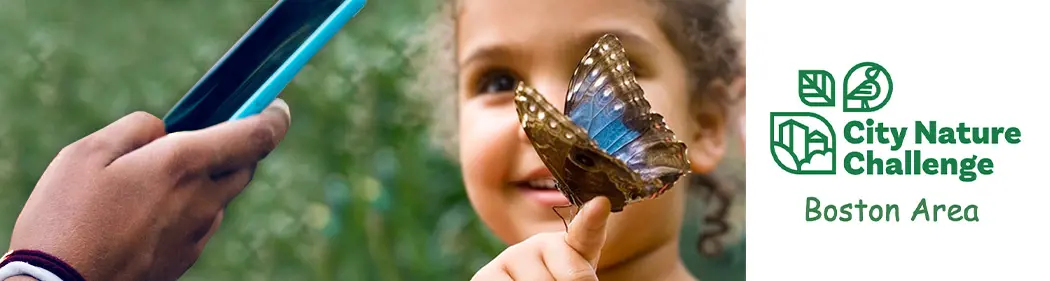 Become a Biodiversity Explorer! Join City Nature Challenge