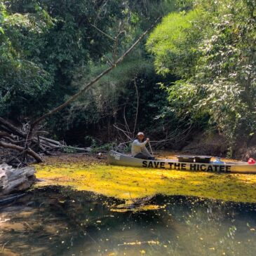 Belize Hicatee Field Survey