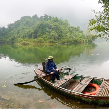 Returning the Northern White-Cheeked Gibbon to its Home in Vietnam