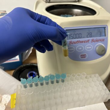 Blanding’s Fecal Sample Study