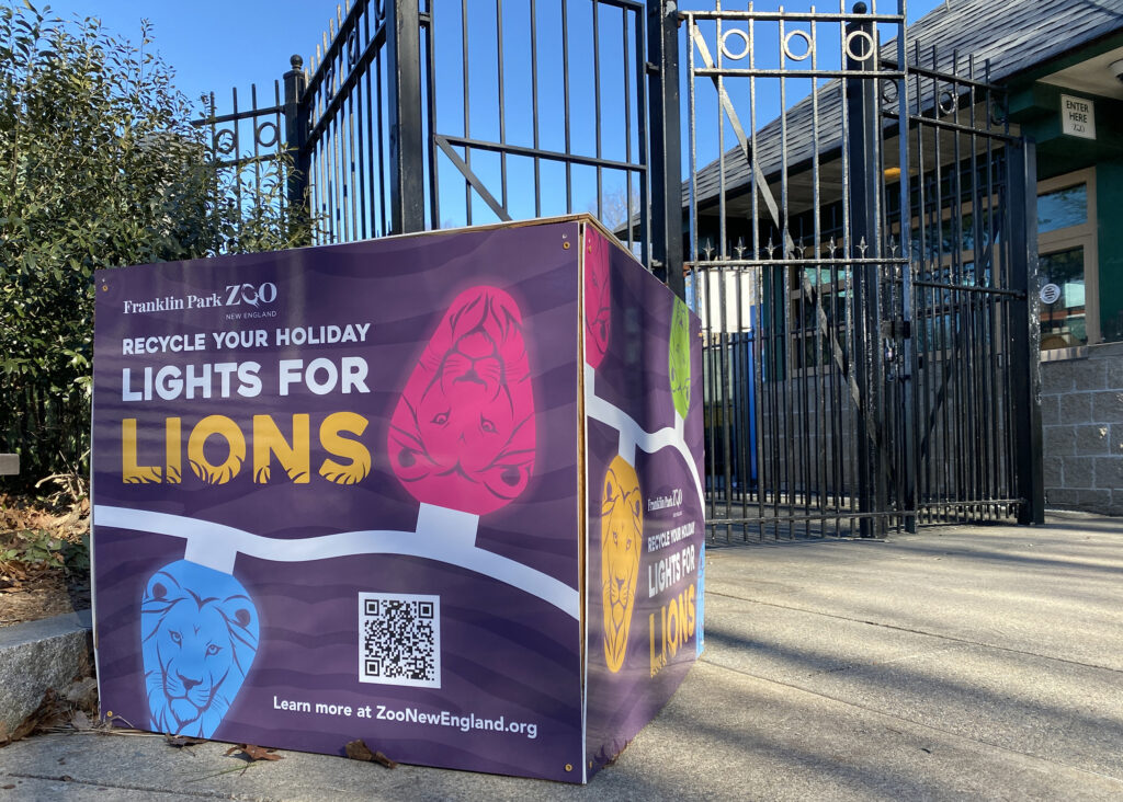 A large wooden box decorated with colorful sign that reads Franklin Park Zoo Lights for Lions at a wrought iron gated entrance outside