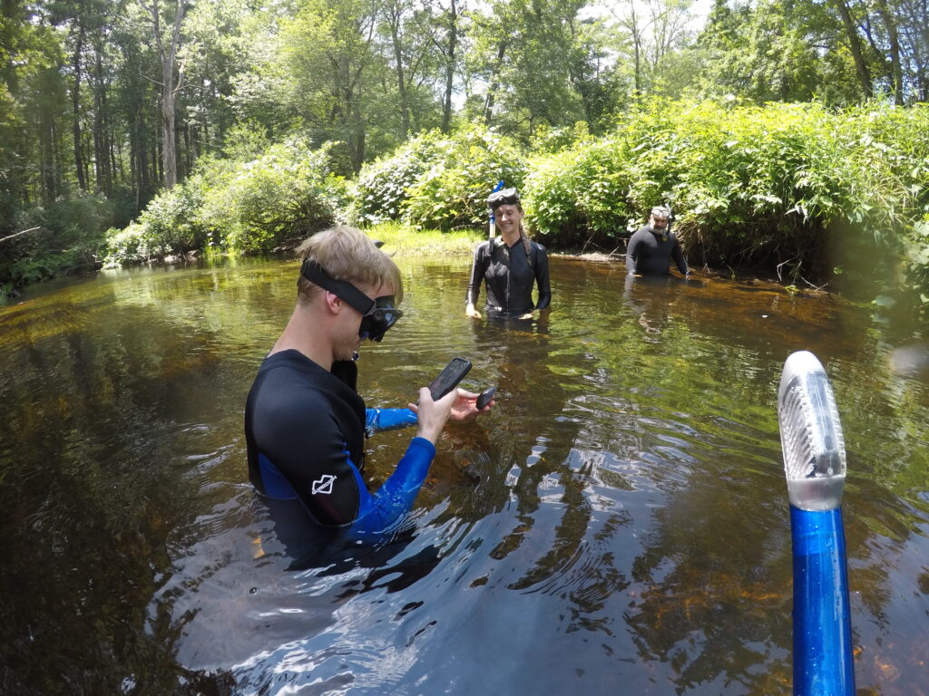 Field biologists survey for mussels in a local stream