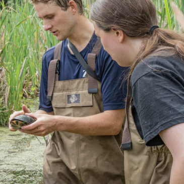 Three Legs and Nine Eggs: An Extraordinary Turtle Rescue