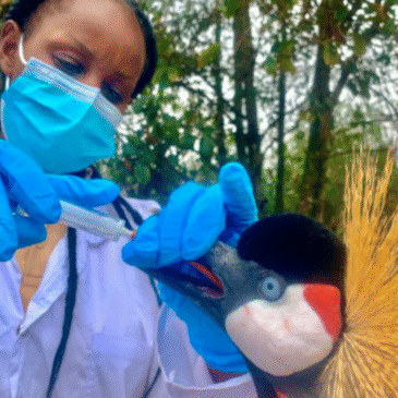 Hope for the Future: The Next Generation of Wildlife Conservationists