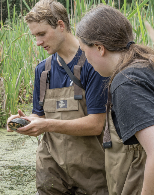 Three Legs and Nine Eggs: An Extraordinary Turtle Rescue