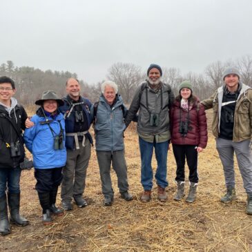 Let the Count Begin!