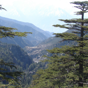 Protecting Pakistan’s Mountains