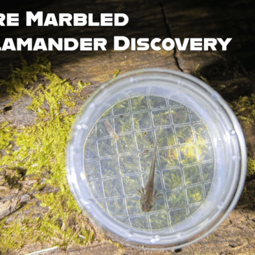 2025 ZNE Field Conservation Highlights:       A Year of Breakthroughs