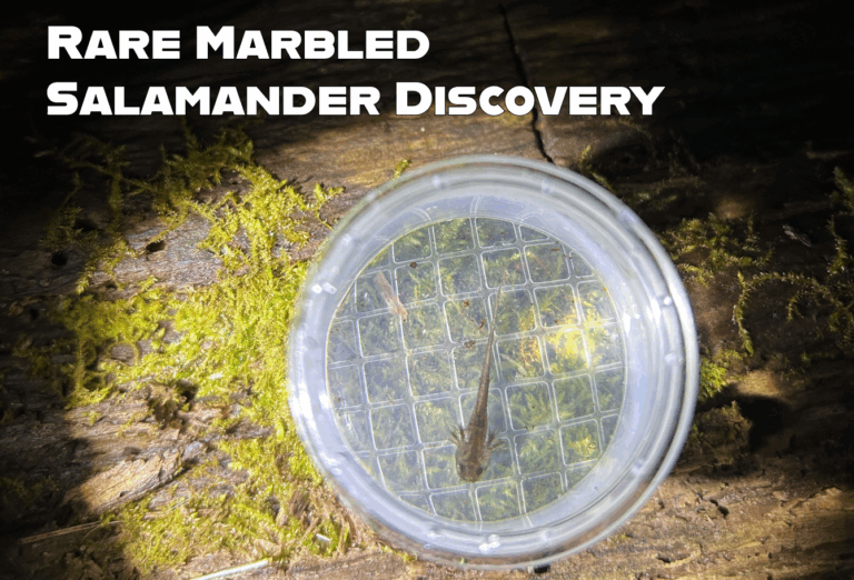 2025 ZNE Field Conservation Highlights:       A Year of Breakthroughs