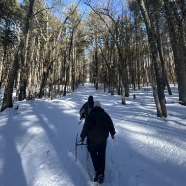 What the Snow Reveals