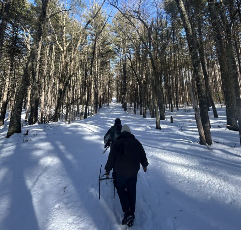 What the Snow Reveals