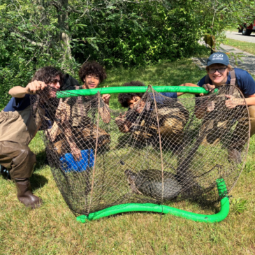 ZooTeen Takeover at the Arnold Arboretum