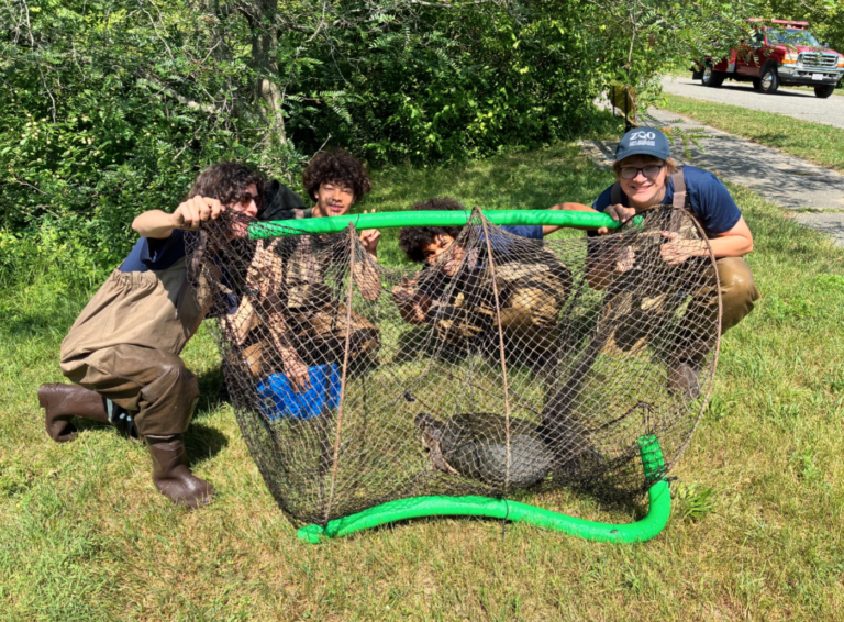 ZooTeen Takeover at the Arnold Arboretum