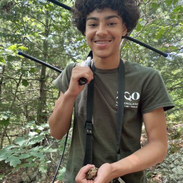 ZooTeen Season Wrap Up